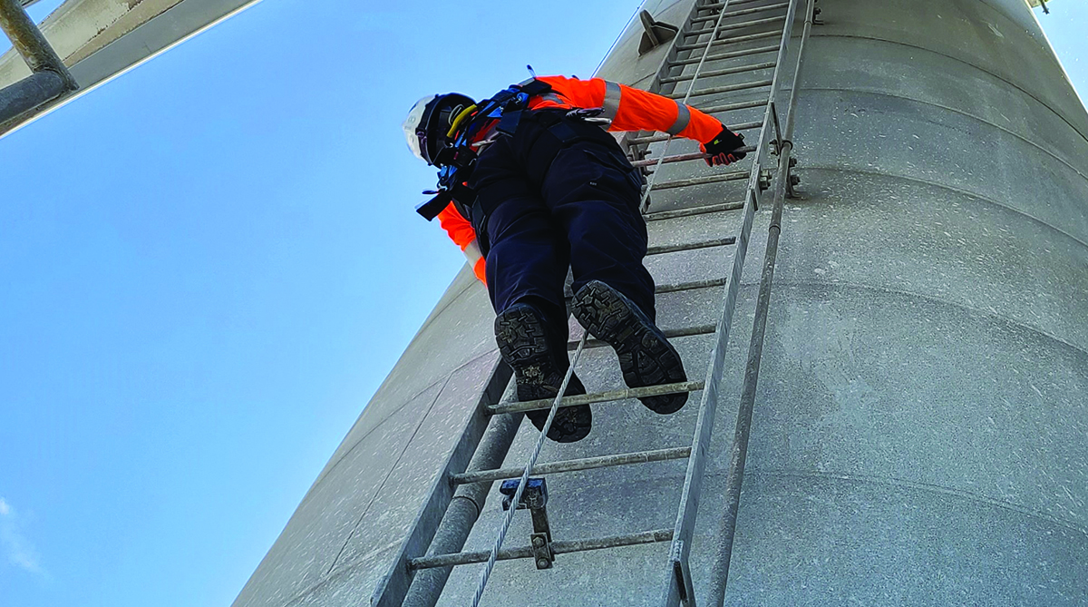 Why Use Ladder Safety Systems?